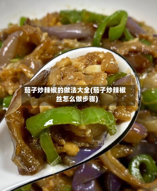 茄子炒辣椒的做法大全(茄子炒辣椒丝怎么做步骤)