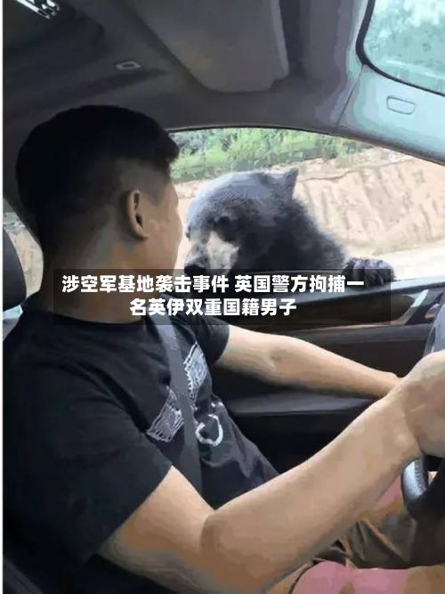 涉空军基地袭击事件 英国警方拘捕一名英伊双重国籍男子-第1张图片