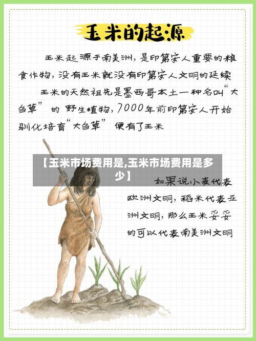 【玉米市场费用是,玉米市场费用是多少】