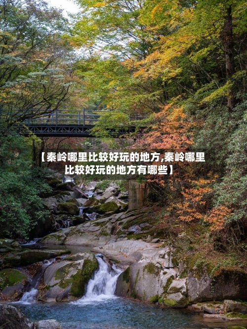 【秦岭哪里比较好玩的地方,秦岭哪里比较好玩的地方有哪些】