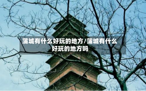 蒲城有什么好玩的地方/蒲城有什么好玩的地方吗