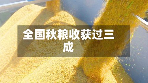 全国秋粮收获过三成