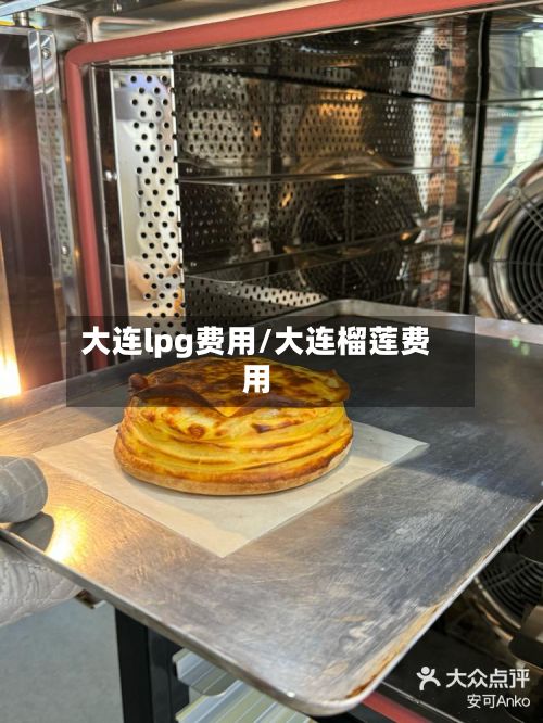 大连lpg费用/大连榴莲费用-第2张图片