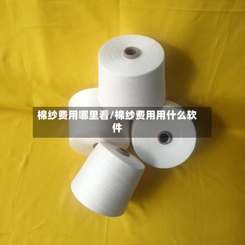 棉纱费用哪里看/棉纱费用用什么软件-第2张图片