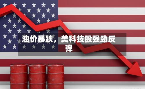 油价暴跌，美科技股强劲反弹-第3张图片