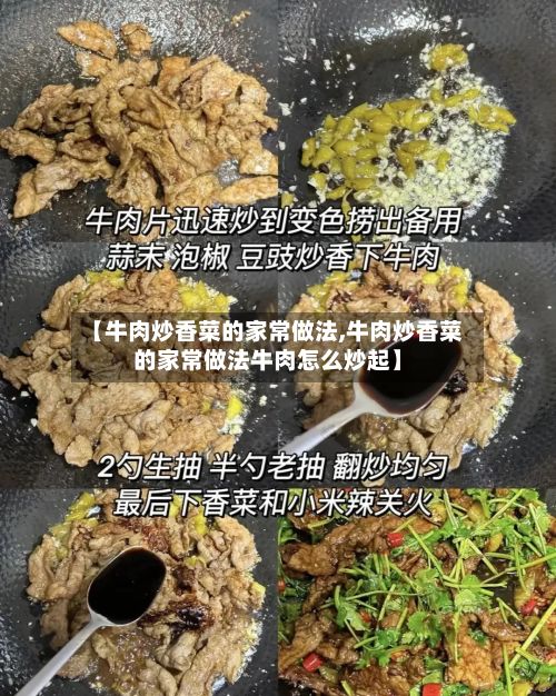 【牛肉炒香菜的家常做法,牛肉炒香菜的家常做法牛肉怎么炒起】