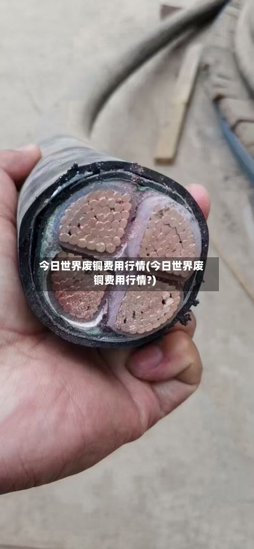 今日世界废铜费用行情(今日世界废铜费用行情?)