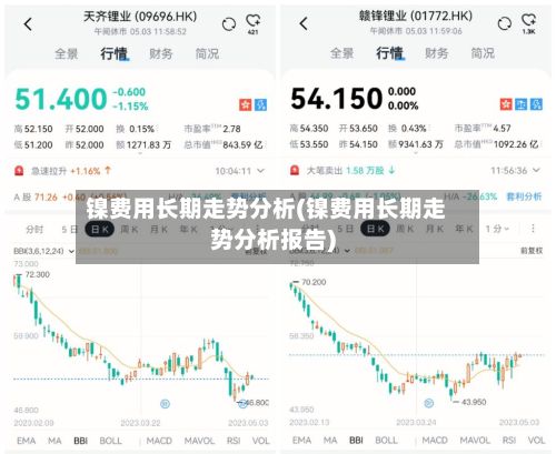 镍费用长期走势分析(镍费用长期走势分析报告)
