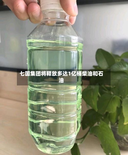 七国集团将释放多达1亿桶柴油和石油-第3张图片