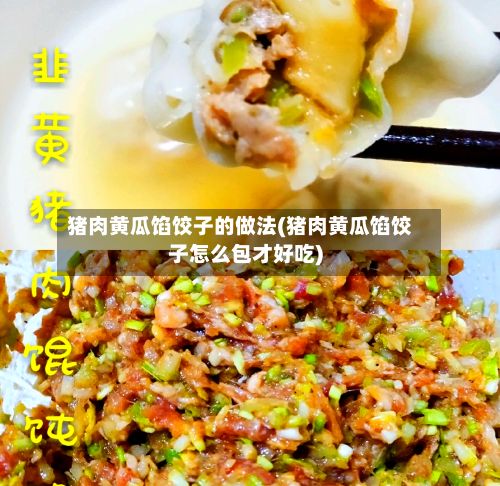 猪肉黄瓜馅饺子的做法(猪肉黄瓜馅饺子怎么包才好吃)