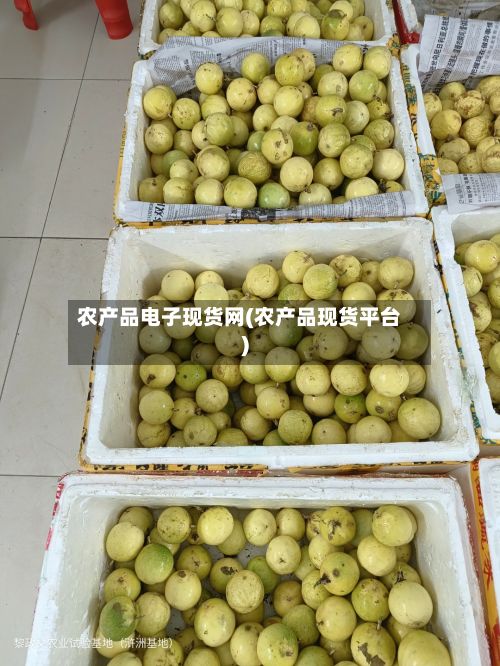 农产品电子现货网(农产品现货平台)-第2张图片