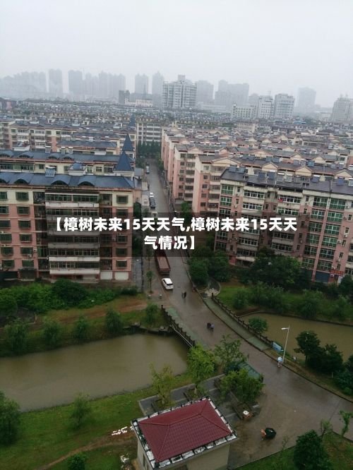 【樟树未来15天天气,樟树未来15天天气情况】-第2张图片