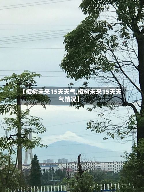 【樟树未来15天天气,樟树未来15天天气情况】