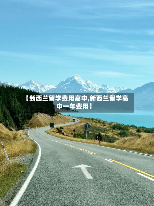 【新西兰留学费用高中,新西兰留学高中一年费用】