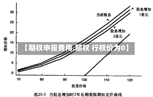【期权申报费用,期权 行权价为0】-第2张图片