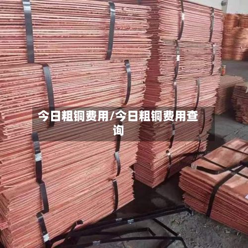 今日粗铜费用/今日粗铜费用查询-第2张图片