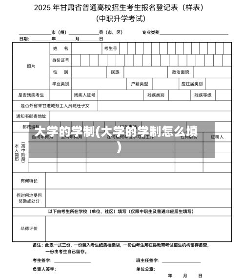 大学的学制(大学的学制怎么填)-第3张图片