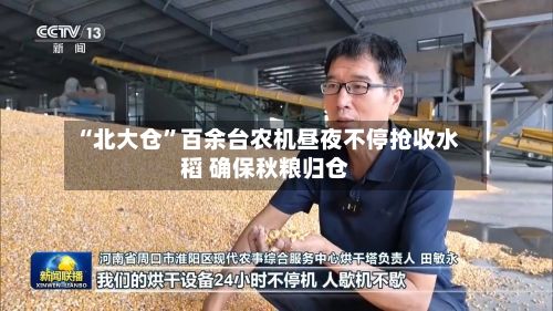 “北大仓”百余台农机昼夜不停抢收水稻 确保秋粮归仓-第2张图片
