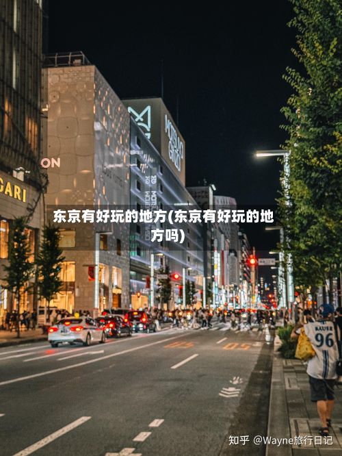 东京有好玩的地方(东京有好玩的地方吗)