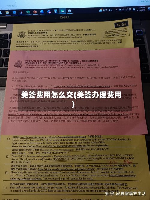 美签费用怎么交(美签办理费用)