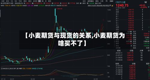 【小麦期货与现货的关系,小麦期货为啥买不了】