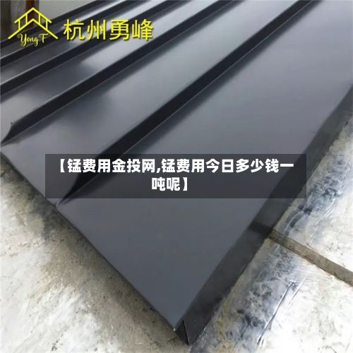 【锰费用金投网,锰费用今日多少钱一吨呢】-第2张图片