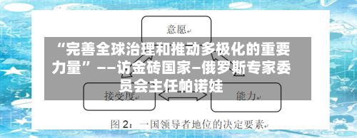 “完善全球治理和推动多极化的重要力量” ——访金砖国家—俄罗斯专家委员会主任帕诺娃-第2张图片