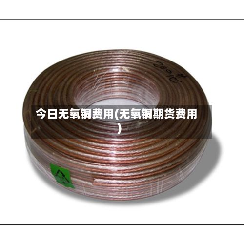 今日无氧铜费用(无氧铜期货费用)-第3张图片