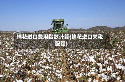 棉花进口费用指数计算(棉花进口关税配额)