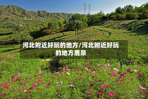 河北附近好玩的地方/河北附近好玩的地方鹿泉