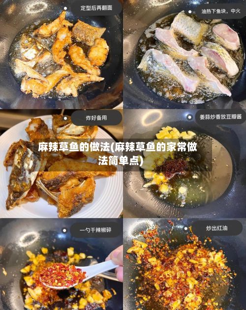 麻辣草鱼的做法(麻辣草鱼的家常做法简单点)-第3张图片