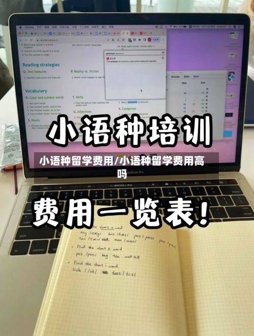 小语种留学费用/小语种留学费用高吗