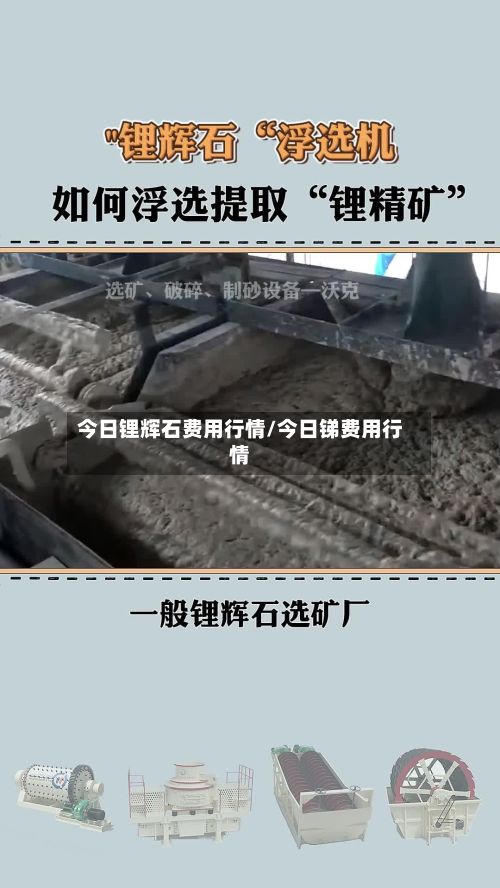 今日锂辉石费用行情/今日锑费用行情-第2张图片
