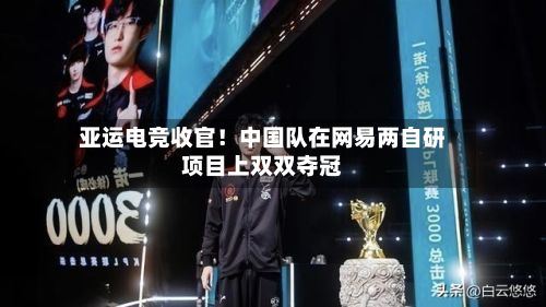 亚运电竞收官！中国队在网易两自研项目上双双夺冠