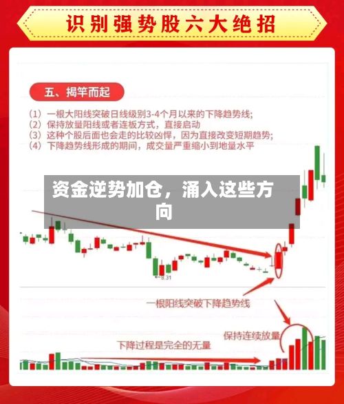 资金逆势加仓，涌入这些方向