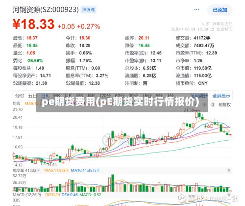 pe期货费用(pE期货实时行情报价)