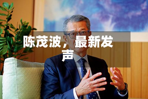 陈茂波，最新发声-第3张图片