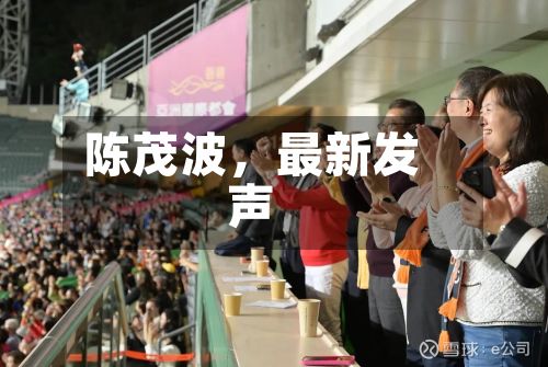 陈茂波，最新发声-第2张图片