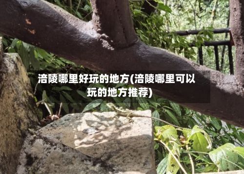 涪陵哪里好玩的地方(涪陵哪里可以玩的地方推荐)-第3张图片