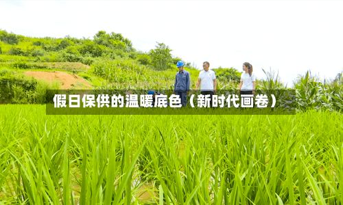 假日保供的温暖底色（新时代画卷）-第2张图片