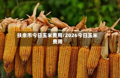 扶余市今日玉米费用/2026今日玉米费用