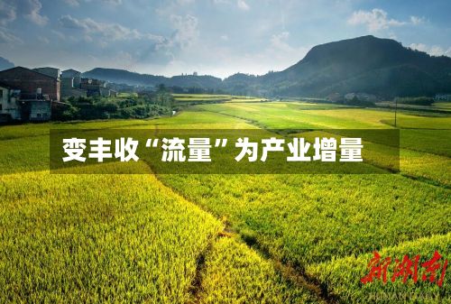 变丰收“流量”为产业增量-第3张图片