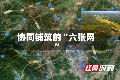 协同铺筑的“六张网	”-第3张图片