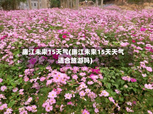 廉江未来15天气(廉江未来15天天气适合旅游吗)