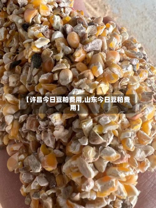 【许昌今日豆粕费用,山东今日豆粕费用】-第2张图片