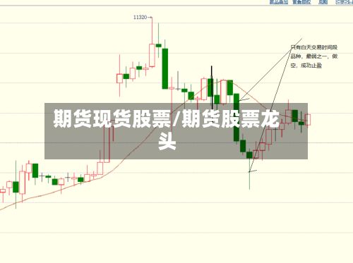 期货现货股票/期货股票龙头