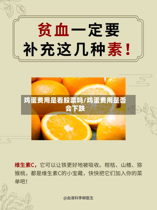 鸡蛋费用是看股票吗/鸡蛋费用是否会下跌-第3张图片