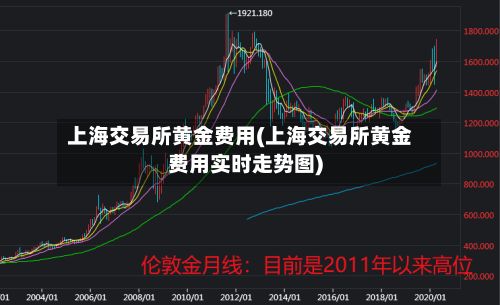 上海交易所黄金费用(上海交易所黄金费用实时走势图)