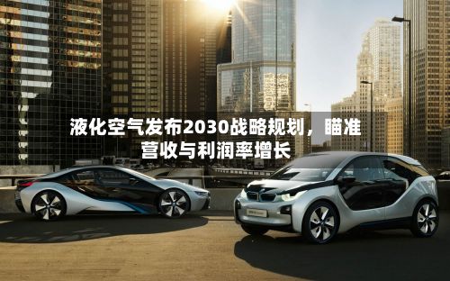 液化空气发布2030战略规划	，瞄准营收与利润率增长-第2张图片