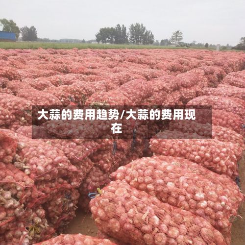 大蒜的费用趋势/大蒜的费用现在-第3张图片